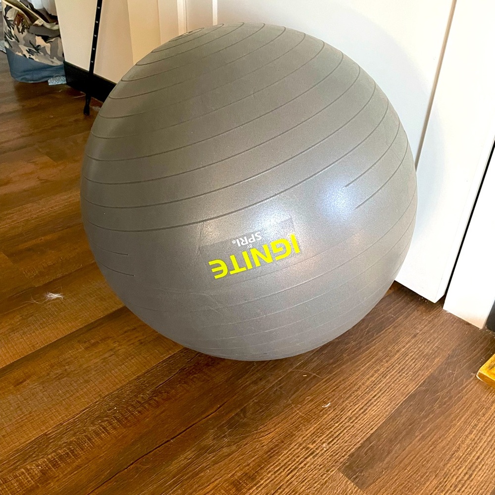 MEDIUM EXERCISE BALL WITH PUMP
